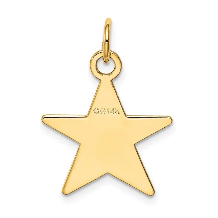 14k Yellow Gold Star Disc Charm Goldia Charm Necklaces