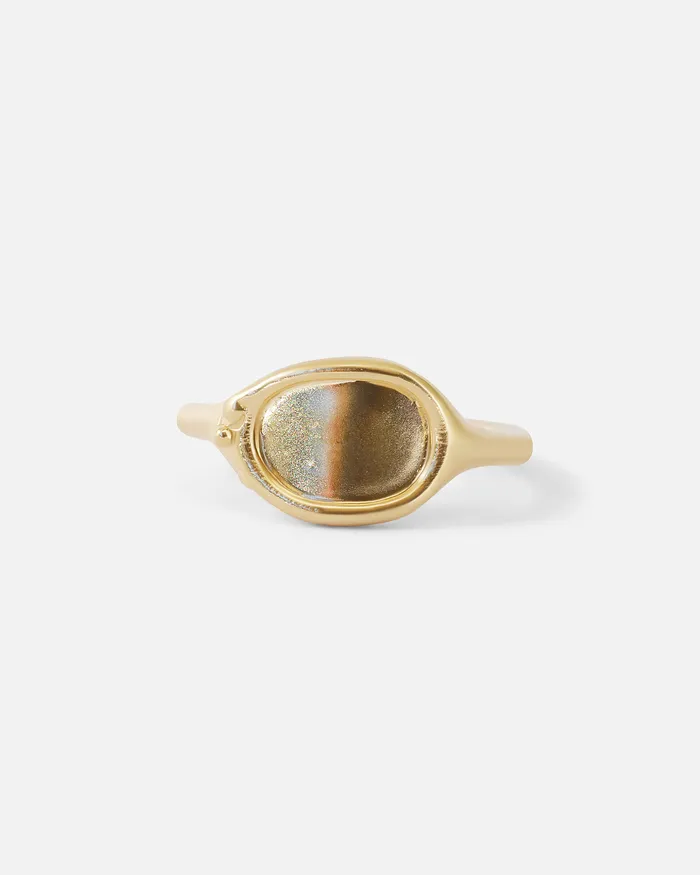 Alfonzo Reflection Ring II Rings