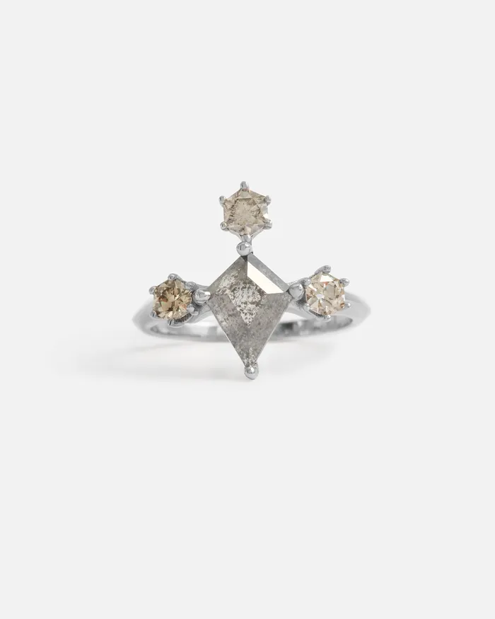 Fitzgerald Jewelry Rings Kyte Salt Pepper Diamond Ring