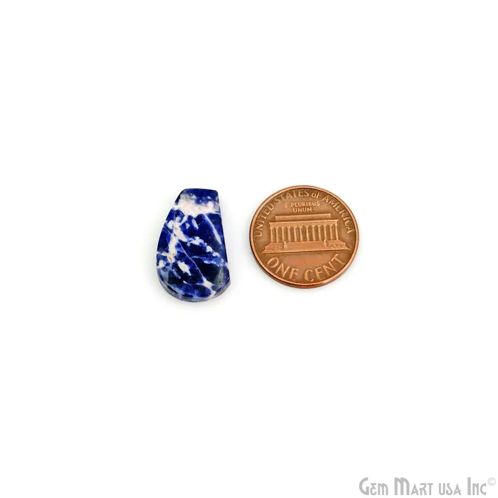 GemMartUSA Earrings Sodalite Freeform Shape 30x13mm Loose Gemstone For Earring Pair