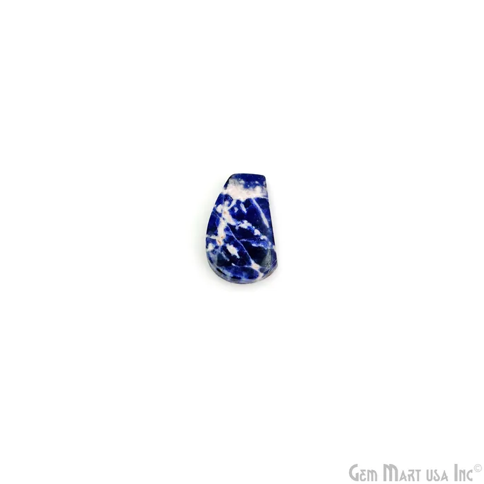 GemMartUSA Earrings Sodalite Freeform Shape 30x13mm Loose Gemstone For Earring Pair