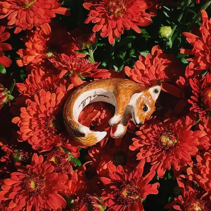 Rings Camp Hollow The Rusty Fox Ring