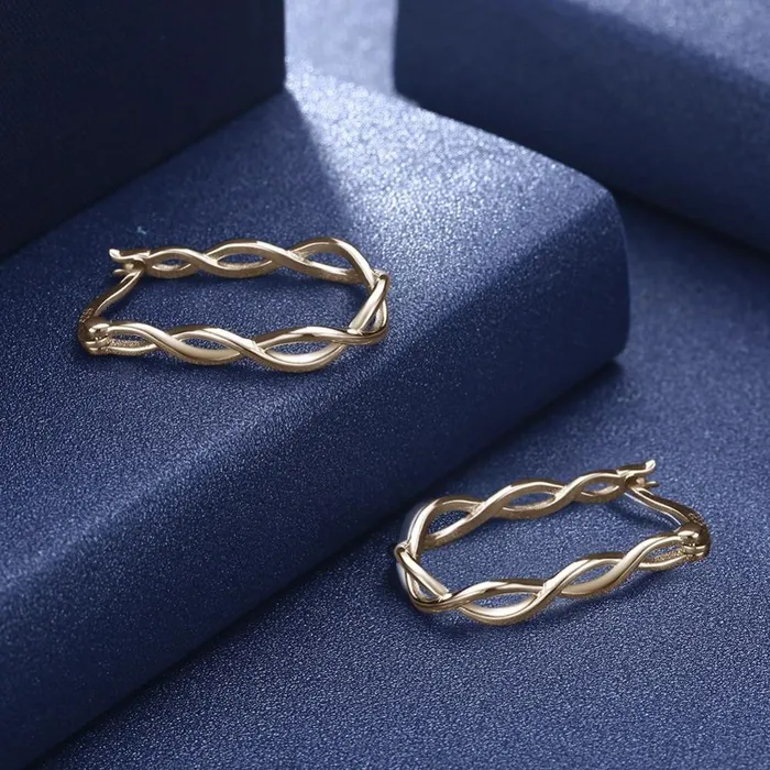 Silver Hoop Earrings For Women 2018 Prevent Allergy Classic Gold Earrings Trendy Gift Personalized Jewel Earrings